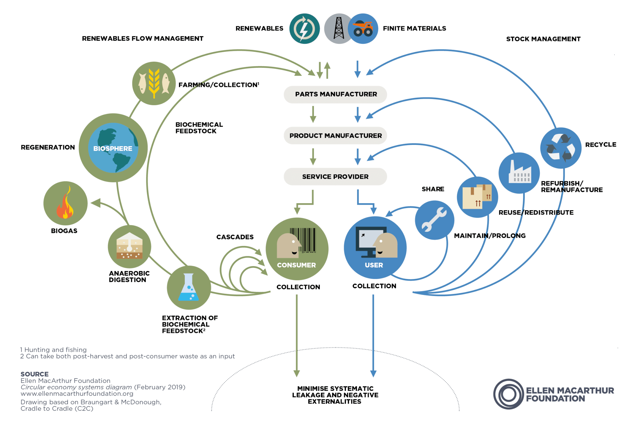 The Ellen MacArthur Foundation Butterfly Diagram