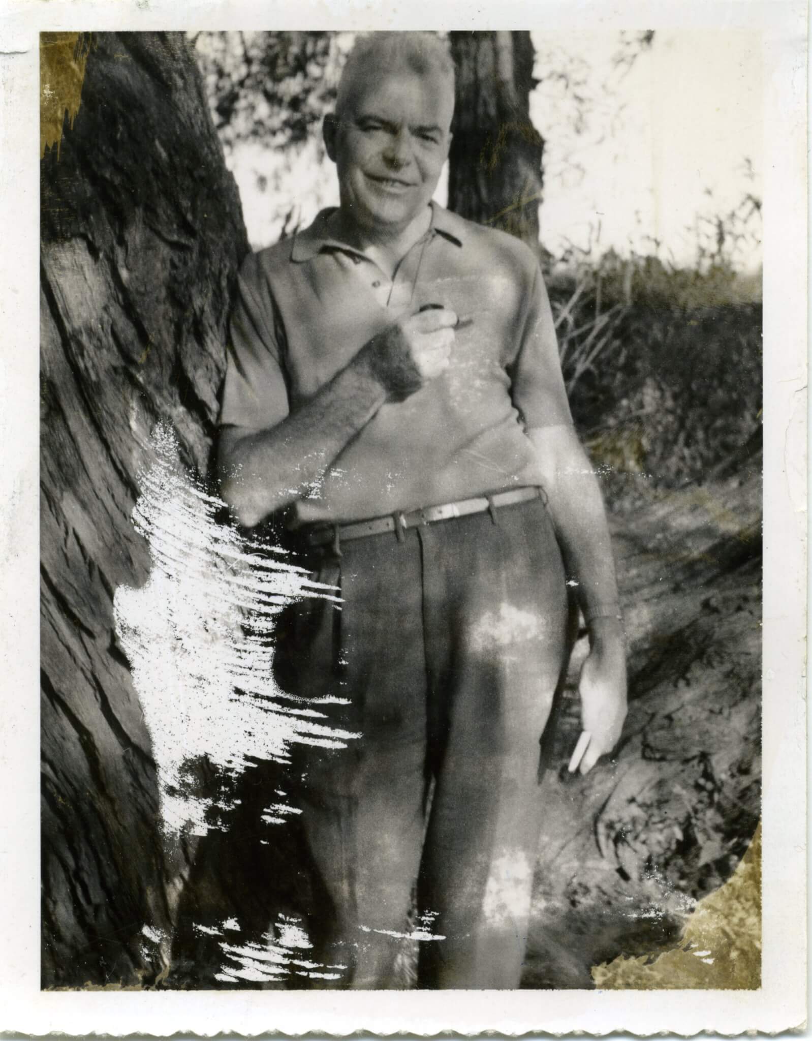 Norbert Ryan illustration